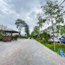 포항상생숲길(효자교회앞) 이미지