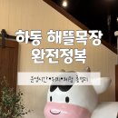 하동목장 | 🌿 하동 해뜰목장 완전정복! 아이들과 다녀온 리얼 후기 (운영시간·요금·위치 총정리)