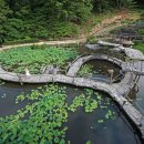 산청나리꽃펜션