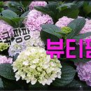 디자인농장 이미지