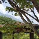 정자네 펜션 이미지