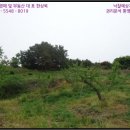 중로(보)2-1-6 이미지