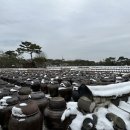 전북농촌융복합산업경영체협동조합 - 남원시 | 전북농촌융복합산업경영체협동조합