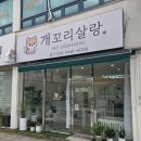 순천 서면 애견 미용 및 아로마 테라피 스파 후기 [개꼬리살랑]