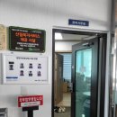 자작나무 | 평창 자연 휴양림 자작나무 이용 후기