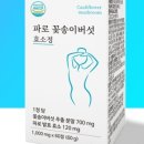 서해건강마을 이미지