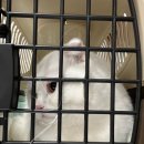 세명 동물병원 이미지