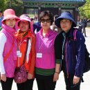 신철원 2리 이미지