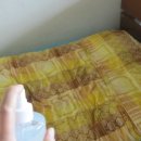 헤어오델리