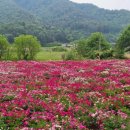 지천생태공원 | 홍천 수타사와 공작산 수타사 생태숲