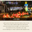 2025 카운트다운&해맞이 축제 | 잉어킹 보고 신년 맞이까지｜2025 서울빛초롱축제·서울라이트 DDP 카운트다운 후기