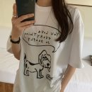 도그프리 이미지