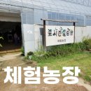 수원떡방아 | 어린이체험농장 포시즌힐링팜 동물먹이주기체험 까지!
