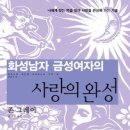금성미디어 이미지