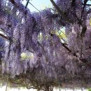 냉천어촌체험마을 이미지