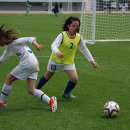 금화초등학교 이미지