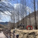 수변공원 정자옆 이미지