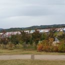 바른체형 의료기 이미지