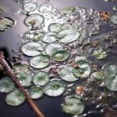 선화2리 이미지