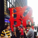 고속버스터미널 | 넓고 편한 좌석에서 즐기는 쉐이크쉑 고속버스터미널점 햄버거 후기