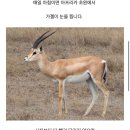 사자공인중개사사무소 이미지