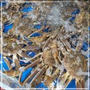 대성횟집 - 강릉시 헌화로 267-1 | 자갈치시장생선구이맛집에서 즐긴 푸짐한 한 상, 대성횟집 방문 후기