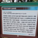 부여(임천)-15 이미지