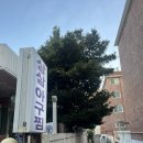 부산 수영구 맛집 삼삼아구찜 – 인생 첫도전 아구수육에 반함! (실내 데이트 코스 추천까지)