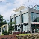 해와돌바라기 휴양펜션 | 제주도 서귀포 한달살기 좋은 해와돌바라기펜션