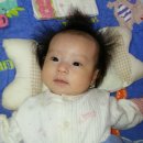 이쁜 똥강아지 이미지