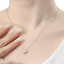 캠퍼스안경홀릭 이미지