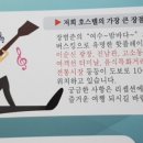 여수교동호스텔 이미지