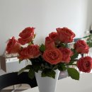 명품호텔시그니처 | 빌라트 작은 꽃병 화병 (명품 화병 꽃병)리뷰 및 후기!!! (Feat. 현대백화점 자스민 시그니처 웰컴 기프트)