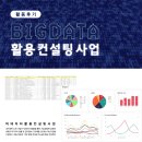 [활동후기] 빅데이터 활용 지원 컨설팅(1) - 빅데이터 활용 컨설팅 사업