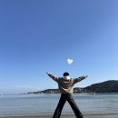 맘스터치일광 이미지