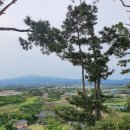 항포수산 네이버블로그