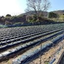 엄정경로당 이미지