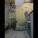스테이경동