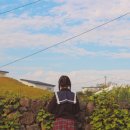 세화리움 이미지