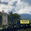 물과숲민박 이미지