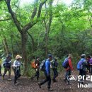 하천섬(주차장) 이미지