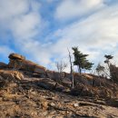 나무이야기 이미지