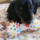 명장1동-7 이미지