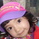 박사랑 카카오 검색결과