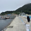 카멜리아민박 이미지