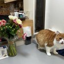 예산여인숙 이미지