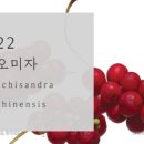 사랑채움한의원 이미지