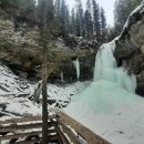 강변의 숲속 이미지