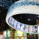 곤충생태관_1 이미지