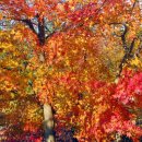 한강신도시호수공원 이미지